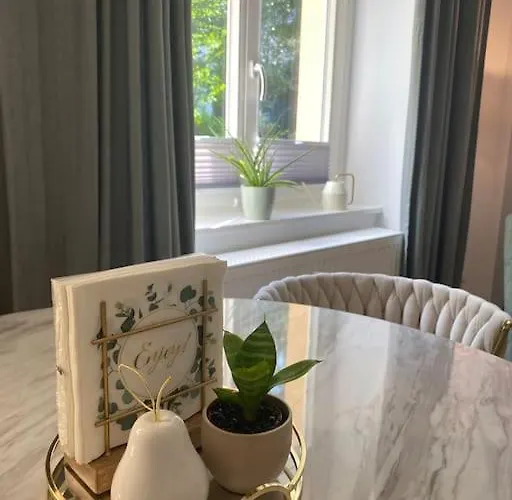 Modernes City-apartment Mit Grosser Terrasse 아파트 드레스덴