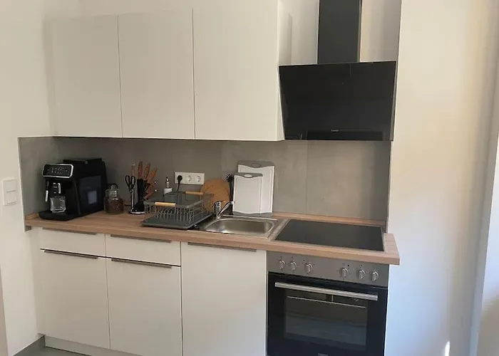 Апартаменты Modernes City-apartment Mit Grosser Terrasse Дрезден