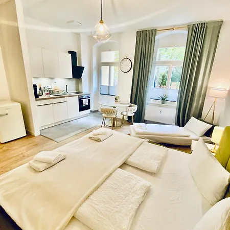 Modernes City-apartment Mit Grosser Terrasse Dresde